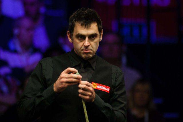 球迷的共同 球迷的共同