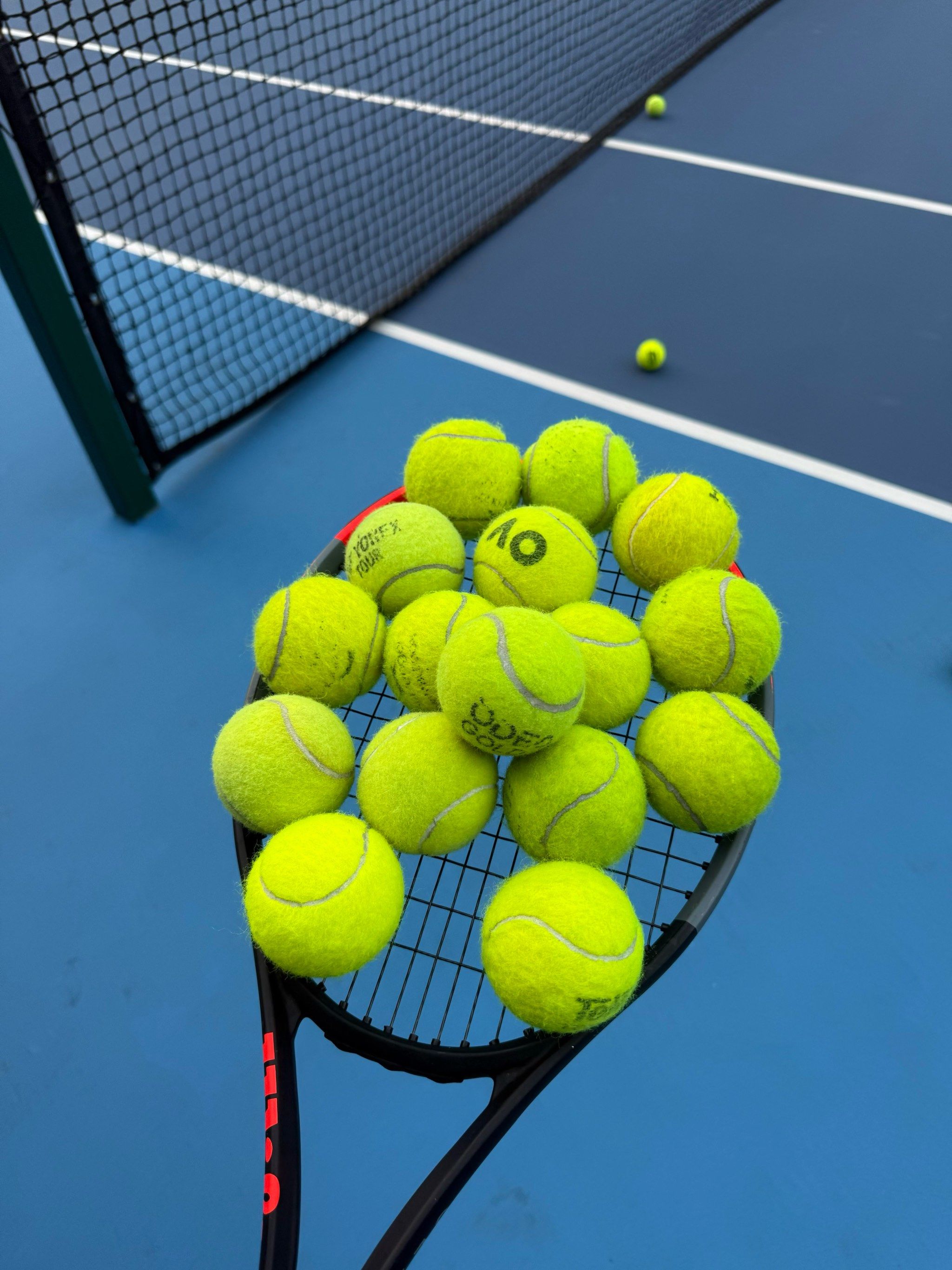 中的作用 中的作用