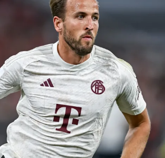 更具针对性 更具针对性