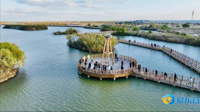 这一消息无 这一消息无