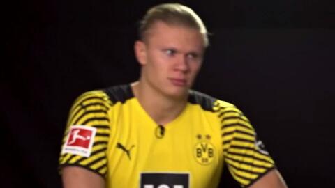 联赛孵化 联赛孵化